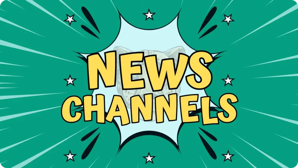 News WhatsApp Channels